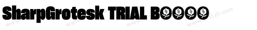 SharpGrotesk TRIAL B字体转换 SharpGrotesk TRIAL B字体转换